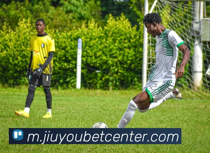 九游娱乐平台生态图